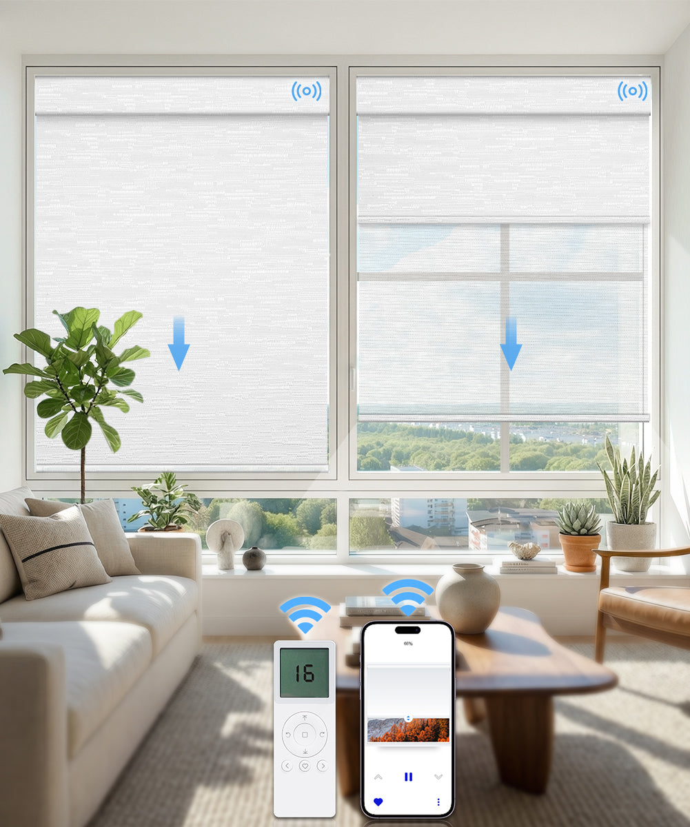Motorized Dual Roller Shades, Blackout & Sheer, Custom Size