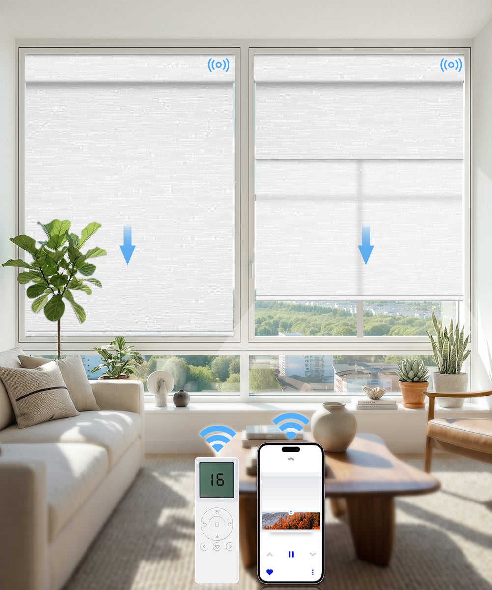 Motorized Dual Roller Shades, Blackout & Light Filtering