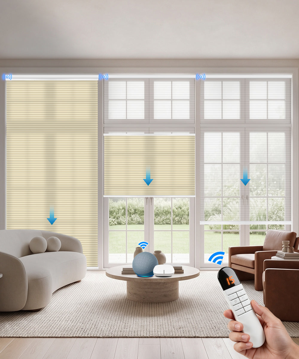Motorized Day Night Cellular Shades – Sheer & Blackout/Light Filtering