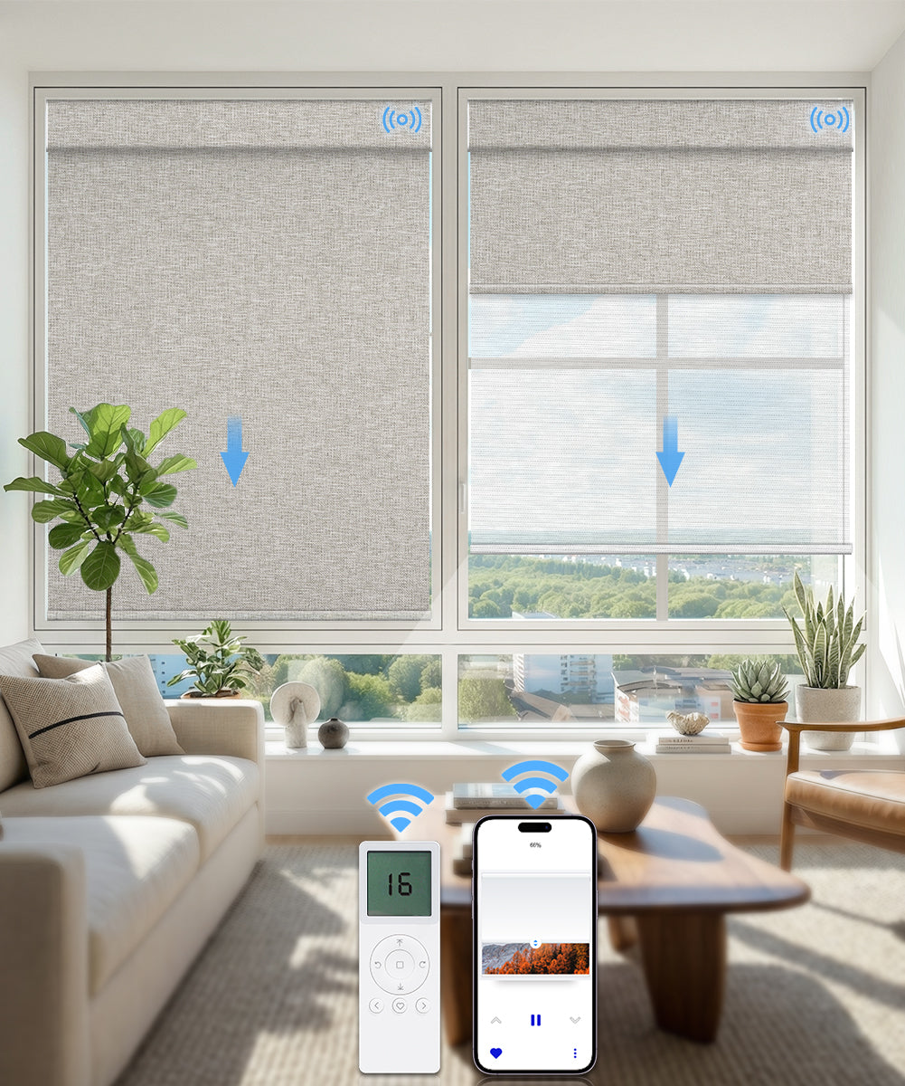 Motorized Dual Roller Shades, Blackout & Sheer, Custom Size