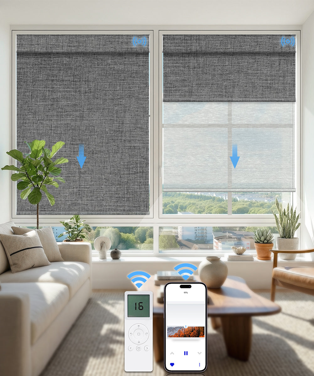 Motorized Dual Roller Shades, Blackout & Sheer, Custom Size