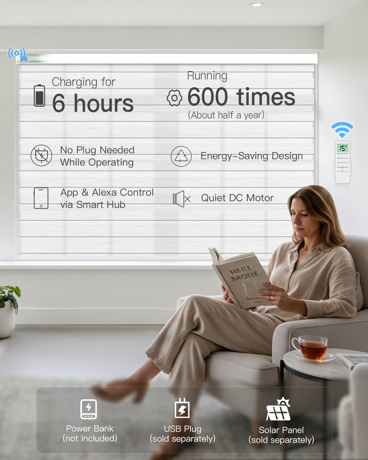 Smart Motorized Zebra Blinds