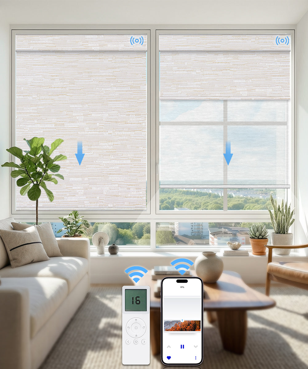 Motorized Dual Roller Shades, Blackout & Sheer, Custom Size