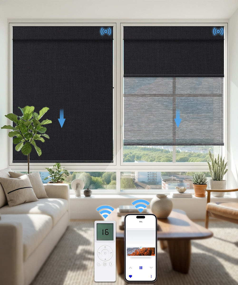 Motorized Dual Roller Shades, Blackout & Sheer, Custom Size