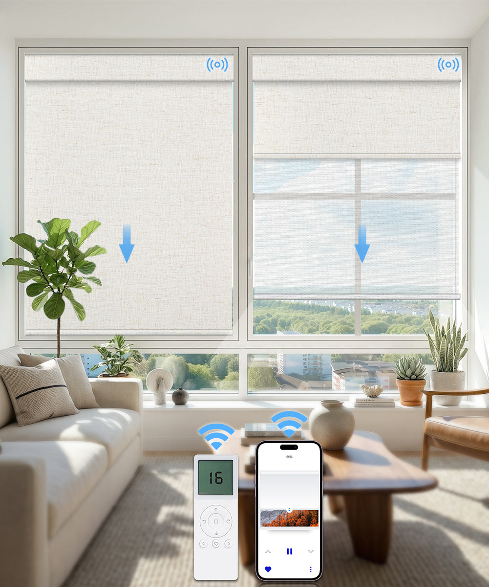 Motorized Dual Roller Shades, Blackout & Sheer, Custom Size