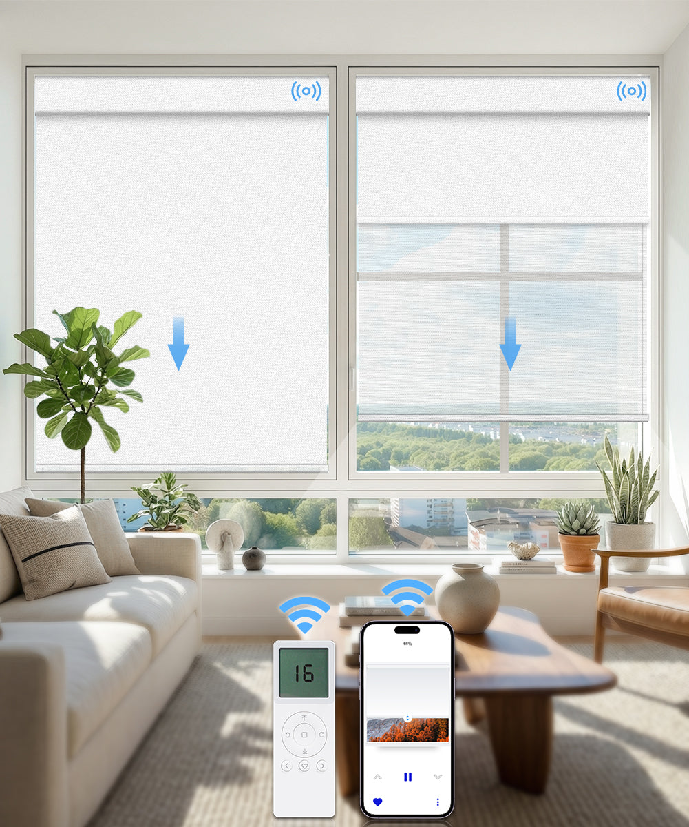 Motorized Dual Roller Shades, Blackout & Sheer, Custom Size