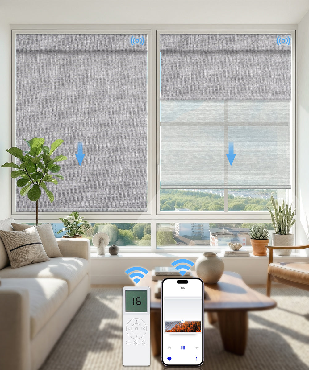 Motorized Dual Roller Shades, Blackout & Sheer, Custom Size