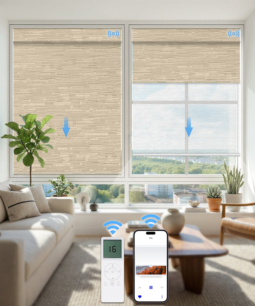Motorized Dual Roller Shades, Blackout & Sheer, Custom Size
